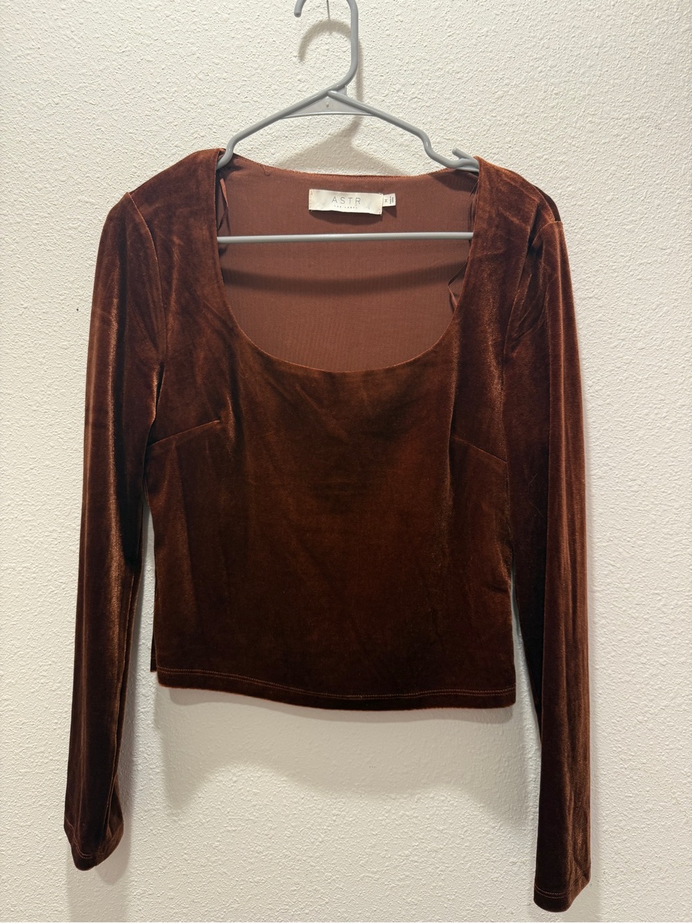 ASTR Velvet Long-Sleeve Scoop Neck Top in Rust